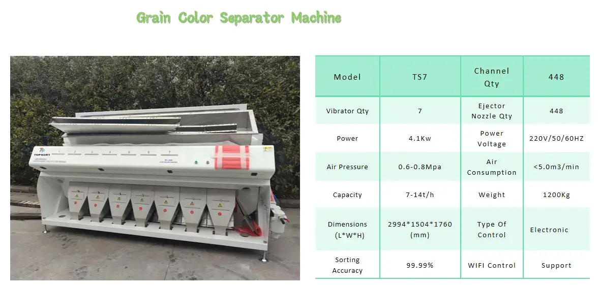 Mesin Pemisah Warna Biji-Bijian TS7 - Gambar 2