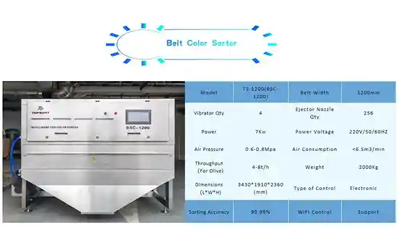 Mesin Sortir Warna Zaitun TS-1200 - Gambar 6