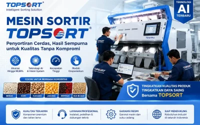 Mesin Sortir Otomatis