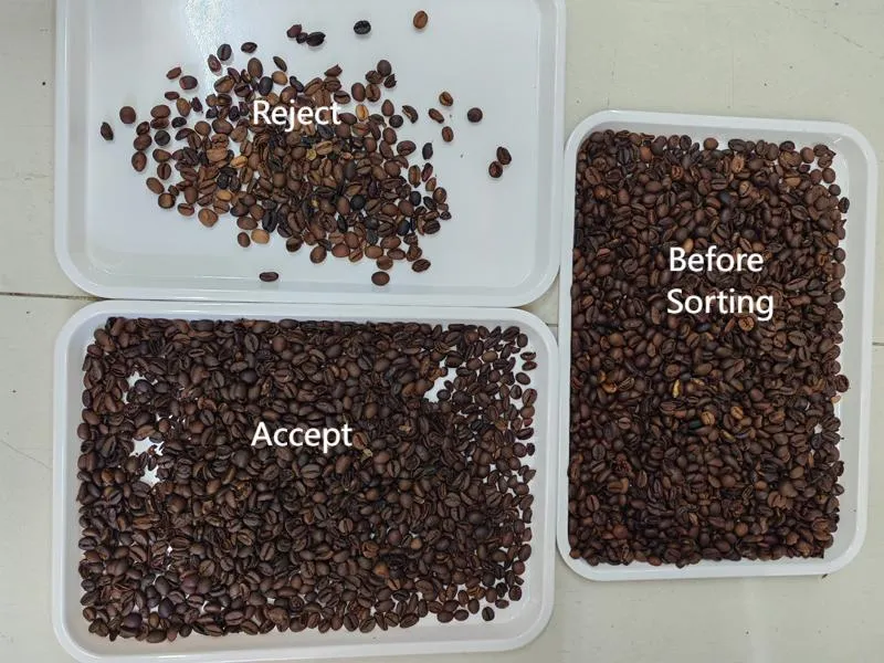 Mesin Sortex Biji Kopi TS16 - Gambar 5